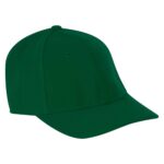GO 001 GO-001 ZIZU  (VERDE / ACRÍLICO)