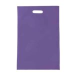BL 004 BOLSA ECOX  (MORADO / NON WOVEN)