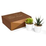 KTC 750 B - SET DE PLANTAS ALISO BLANCO (BLANCO / PLASTICO / CARTON) - Imagen 8