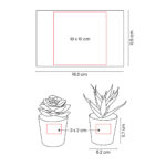 KTC 750 B - SET DE PLANTAS ALISO BLANCO (BLANCO / PLASTICO / CARTON) - Imagen 7