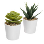 KTC 750 B - SET DE PLANTAS ALISO BLANCO (BLANCO / PLASTICO / CARTON) - Imagen 2