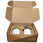 KTC 750 B - SET DE PLANTAS ALISO BLANCO (BLANCO / PLASTICO / CARTON) - Imagen 3