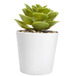 KTC 750 B - SET DE PLANTAS ALISO BLANCO (BLANCO / PLASTICO / CARTON) - Imagen 4