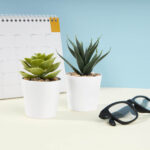 KTC 750 B - SET DE PLANTAS ALISO BLANCO (BLANCO / PLASTICO / CARTON) - Imagen 6