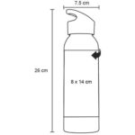 T 50 CILINDRO LAYS  (TRANSPARENTE / PET) - Imagen 12