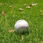 TL 015 PELOTA KOUFAX  (UNICO / VINIL) - Imagen 3