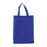 BL 005 BOLSA PACIFIC  (AZUL / NON WOVEN)