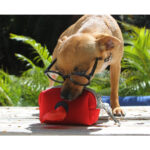PORTA BOLSAS ROCHOR ROJO PT-008R ( PT-008 / PT008 /  ) - Imagen 3
